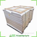 Foodgrade paper board 210gsm for making paper cups